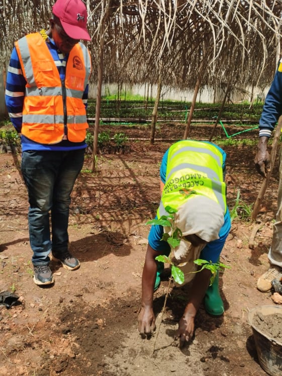 Mobirise Website Builder